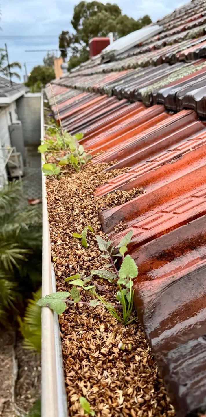 image - 2026-01-23T190423