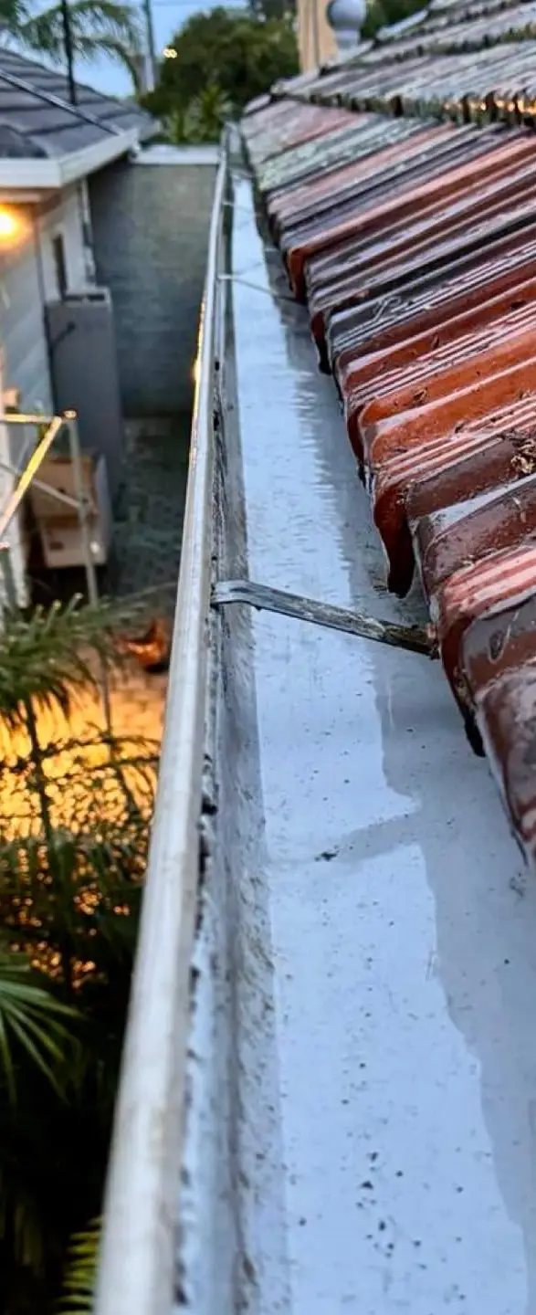 image - 2026-01-23T190423