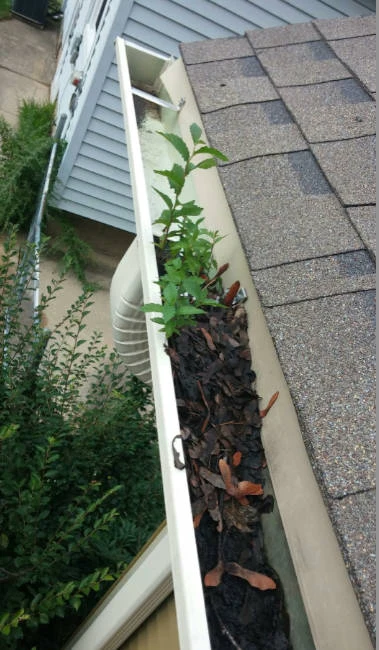 image - 2026-01-26T115223