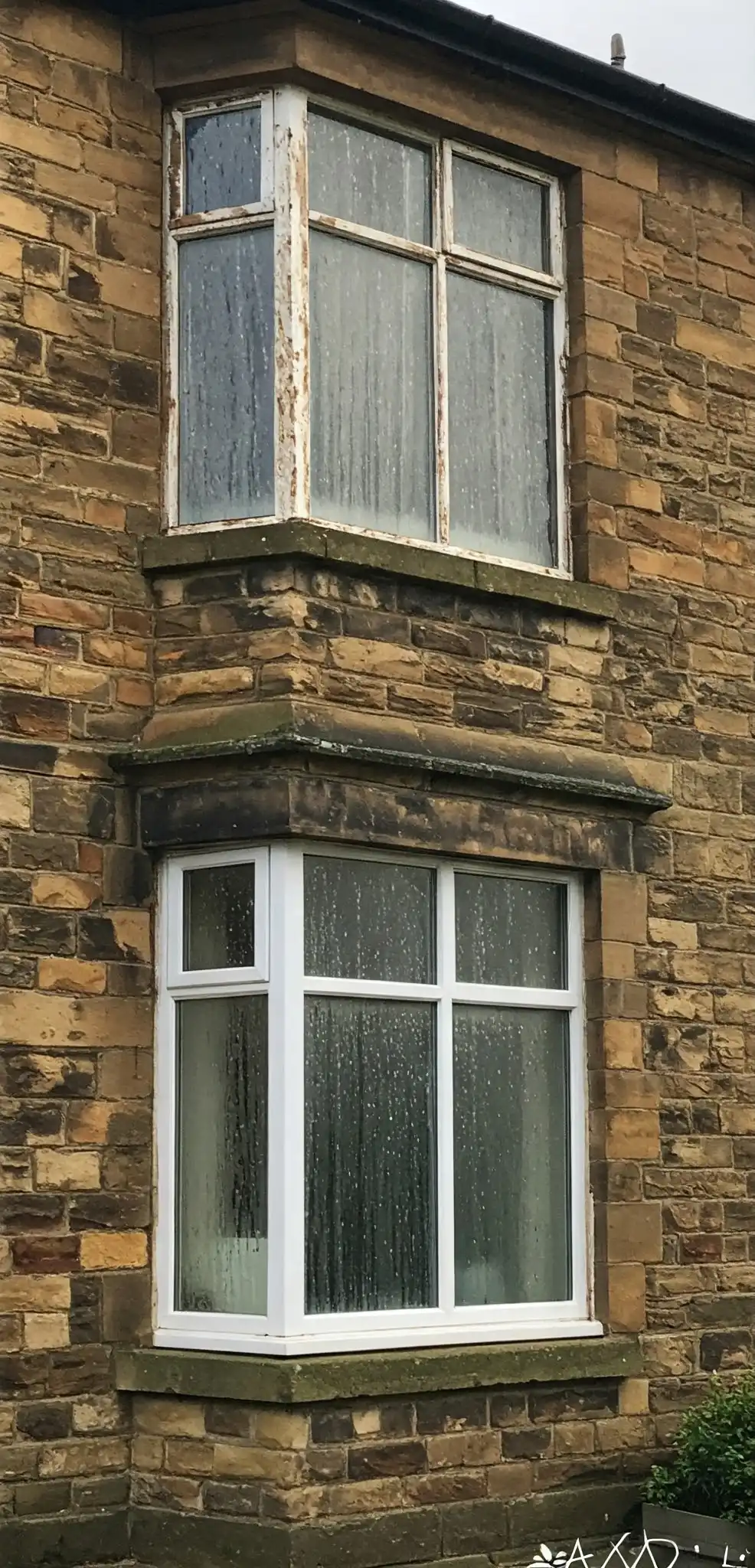 image - 2026-01-26T120421