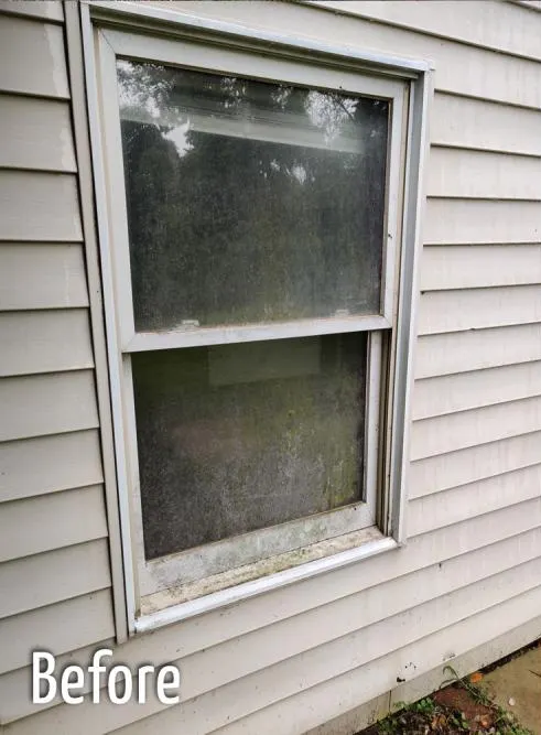 image - 2026-01-26T120543